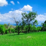 Парцел в Бургас, Банево - 4694 кв.м за 109 €/кв.м - Снимка #1