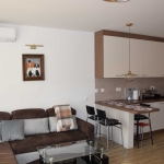 Дава се под наем Двустаен апартамент в София, Дружба 2 - 68 кв.м за 725 € - Снимка #1