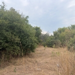 Парцел в с. Тополи, Област Варна - 3768 кв.м за 80 €/кв.м - Снимка #1