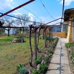 Къща в с. Ситово, Област Силистра - 70 кв.м за 372 €/кв.м - Снимка #1