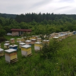 Парцел в Разград, Варош - 8000 кв.м за 2 €/кв.м - Снимка #1