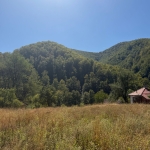 Парцел в с. Рибарица, Област Ловеч - 1250 кв.м за 13 €/кв.м - Снимка #1
