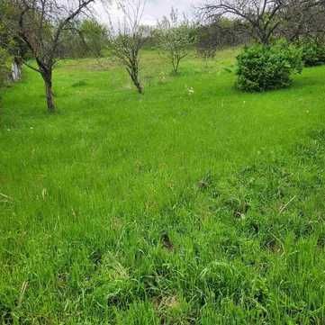 Парцел в Асеновград - 1172 кв.м за 20 €/кв.м - Снимка #1