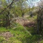 Парцел в с. Кръстевич, Област Пловдив - 1016 кв.м за 22 €/кв.м - Снимка #1