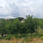 Парцел в с. Малка Верея, Област Стара Загора - 760 кв.м за 34 €/кв.м - Снимка #1