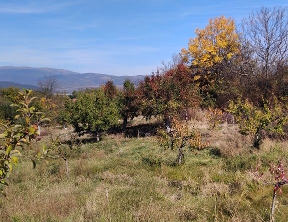 Парцел в с. Слокощица, Област Кюстендил - 2800 кв.м за 8 €/кв.м - Снимка #1