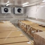 Дава се под наем Склад в Стара Загора, Индустриална зона - изток - 200 кв.м за 100 € - Снимка #1