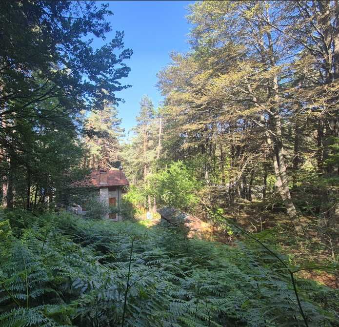 Къща в с. Давидково, Област Смолян - 25 кв.м за 1540 €/кв.м - Снимка #1
