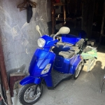 Магазин в Асеновград - 1 кв.м за 650 €/кв.м - Снимка #1