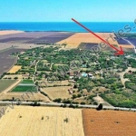 Парцел в с. Езерец, Област Добрич - 500 кв.м за 50 €/кв.м - Снимка #1
