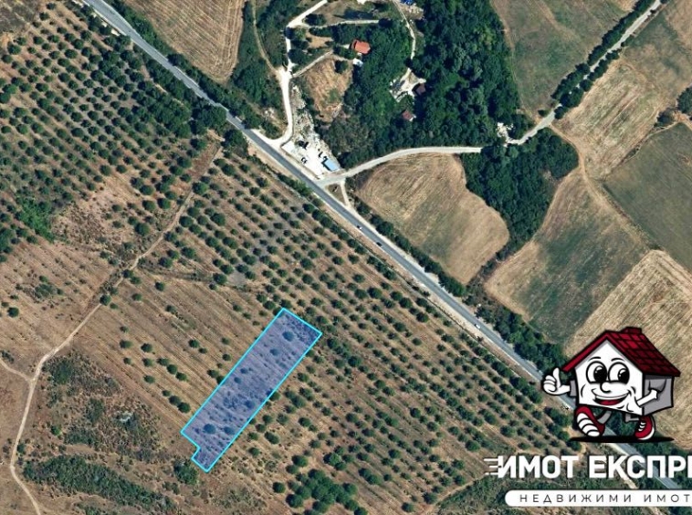 Парцел в Асеновград - 6000 кв.м за 6 €/кв.м - Снимка #1