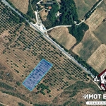 Парцел в Асеновград - 9200 кв.м за 6 €/кв.м - Снимка #1