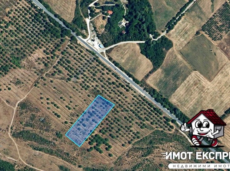 Парцел в Асеновград - 9200 кв.м за 6 €/кв.м - Снимка #1